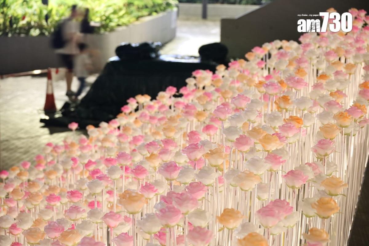 東九文化中心外的LED花海,部分白花獲添上橙色或粉紅色。(鍾式明攝)