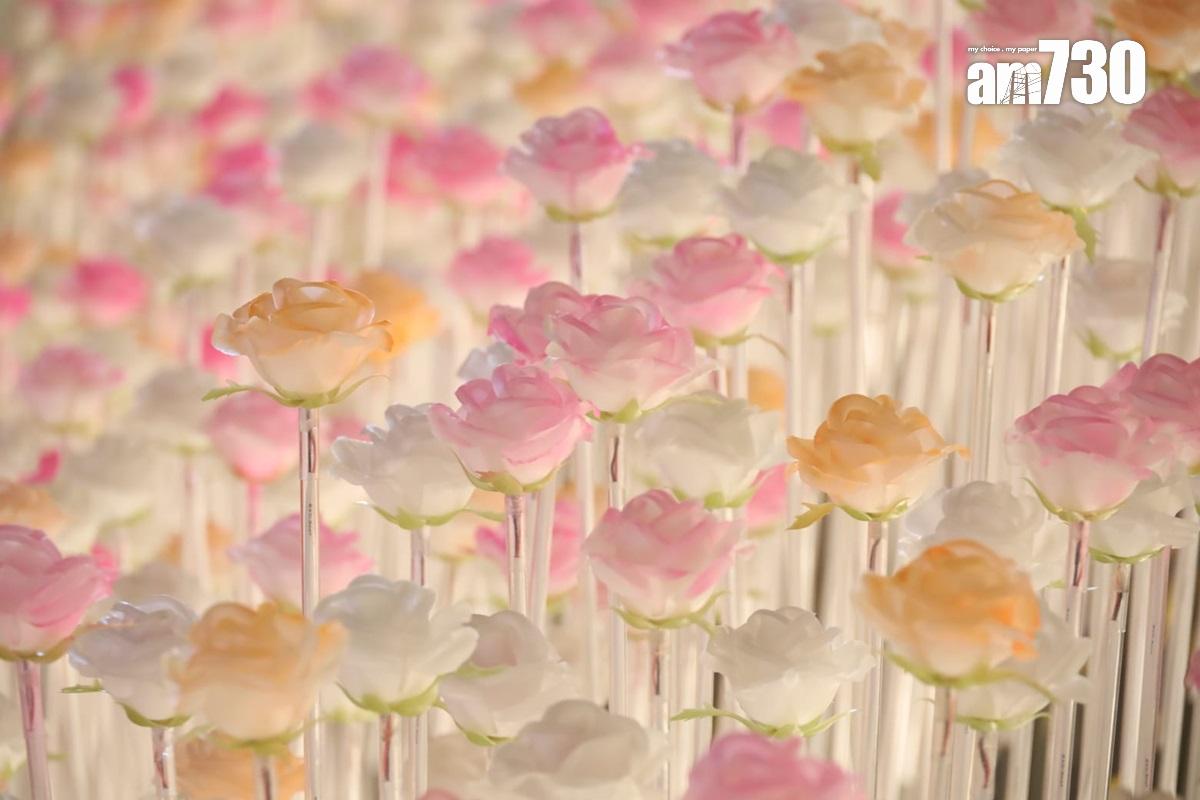 東九文化中心外的LED花海,部分白花獲添上橙色或粉紅色。(鍾式明攝)