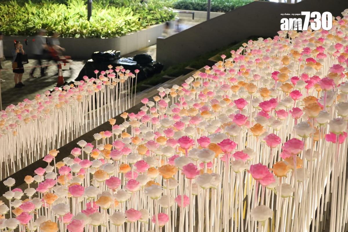 東九文化中心外的LED花海,部分白花獲添上橙色或粉紅色。(鍾式明攝)