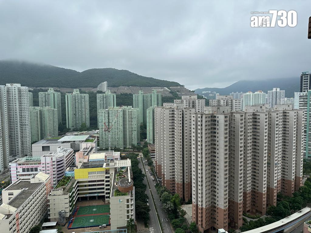 港島東大屋苑兩房上月底放盤 減價500元即租出(多圖)|二手樓租賃