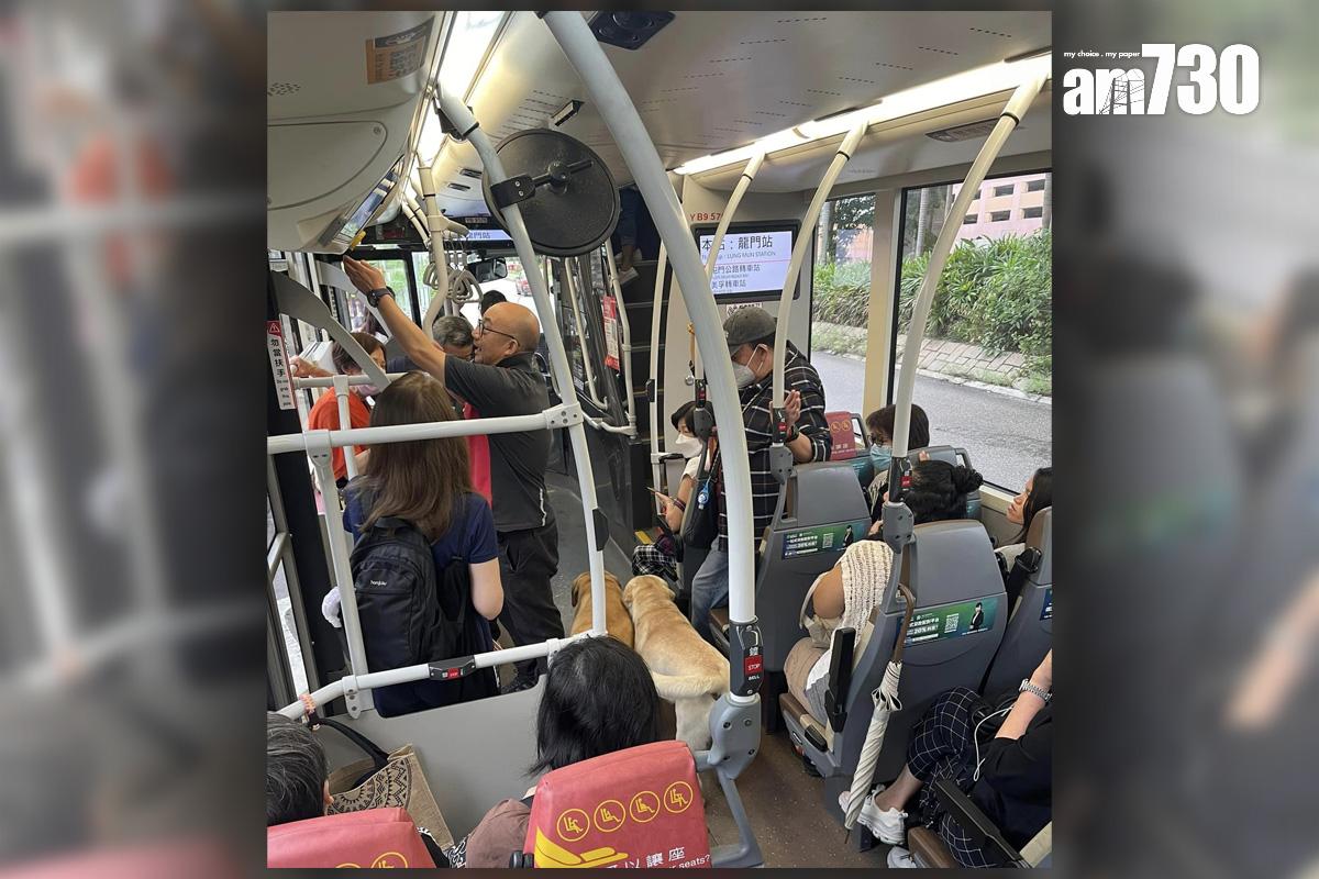 屯門今早有兩隻狗狗登上巴士,懷疑想在車上尋找主人。(FB群組「真・屯門友」)