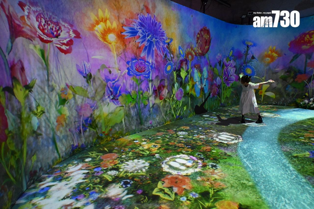 第三展區:野生花園 WILD FLOWER GARDEN