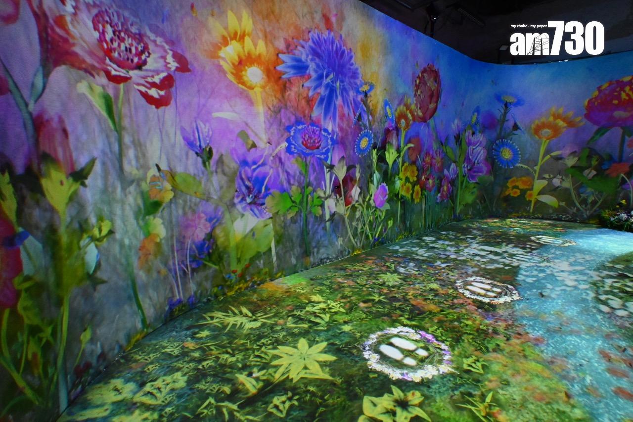 第三展區:野生花園 WILD FLOWER GARDEN