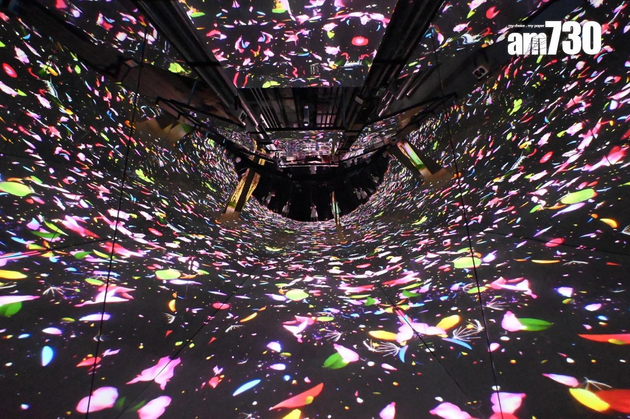 花朵小徑 FLOWER PATH