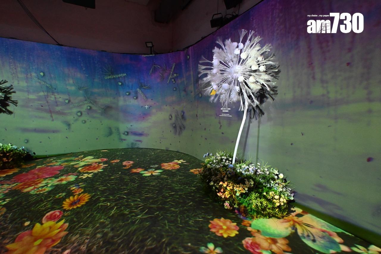 第八展區:與世界連接の蒲公英 DANDELION