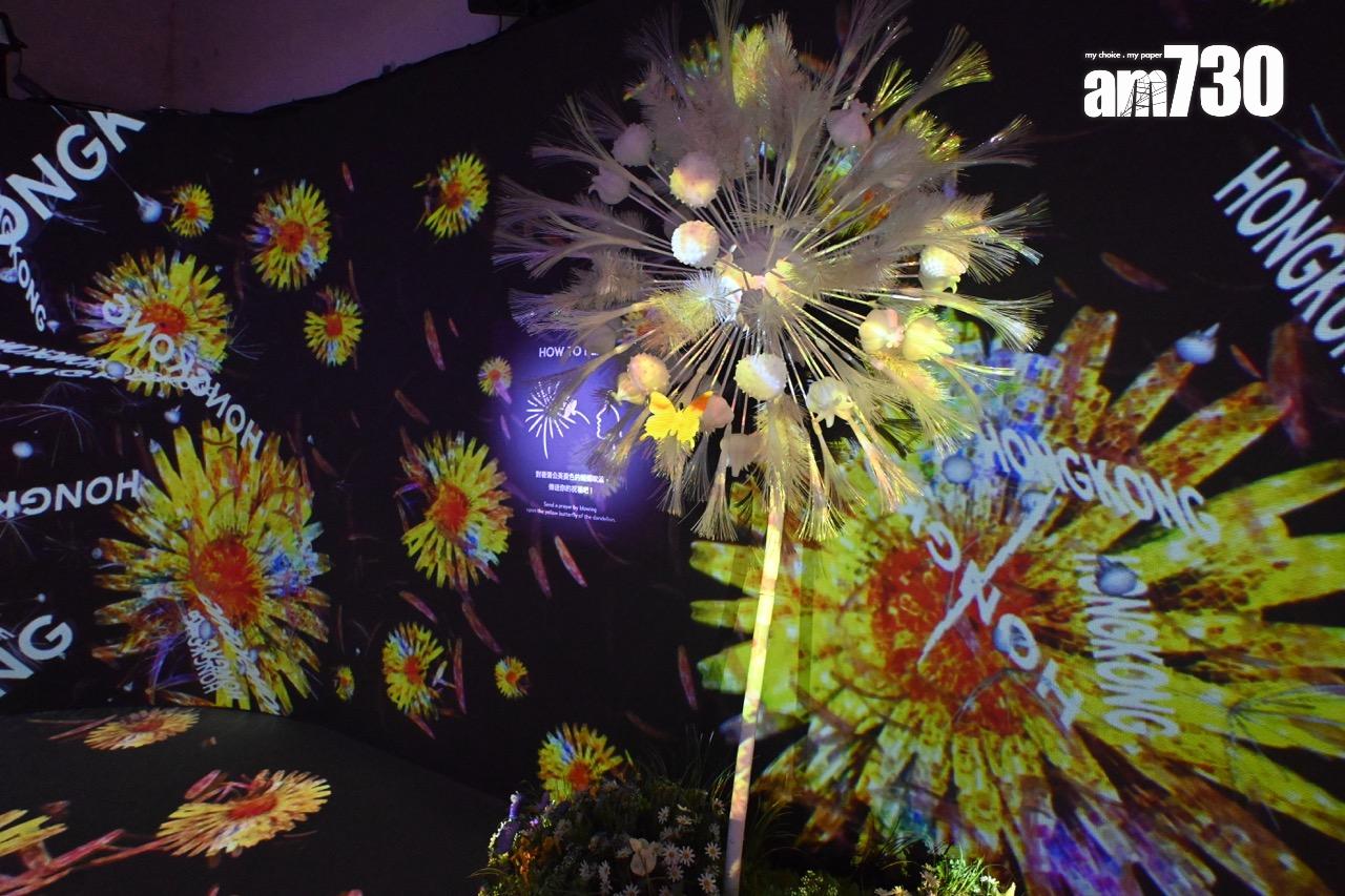 第八展區:與世界連接の蒲公英 DANDELION