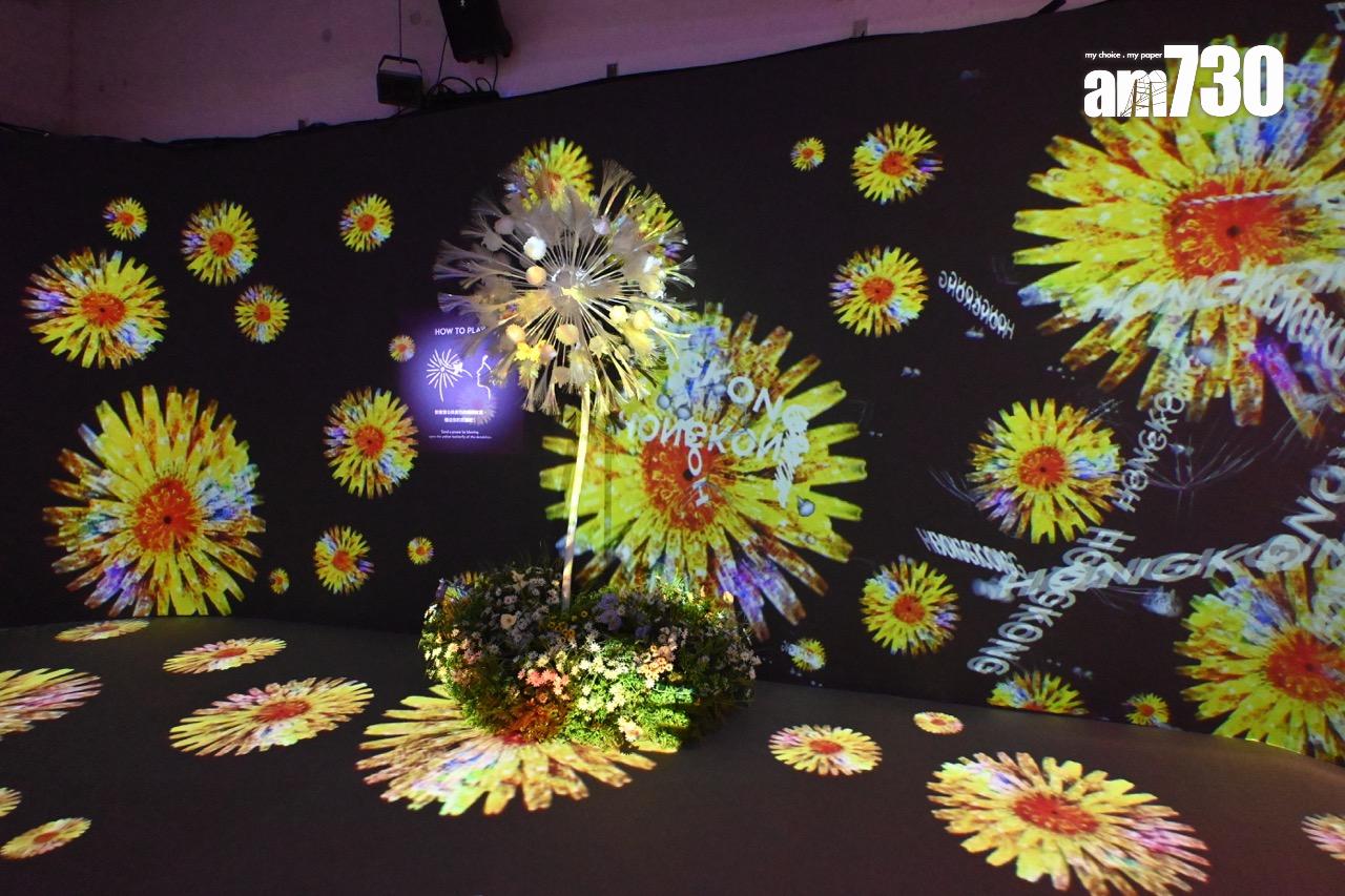 第八展區:與世界連接の蒲公英 DANDELION