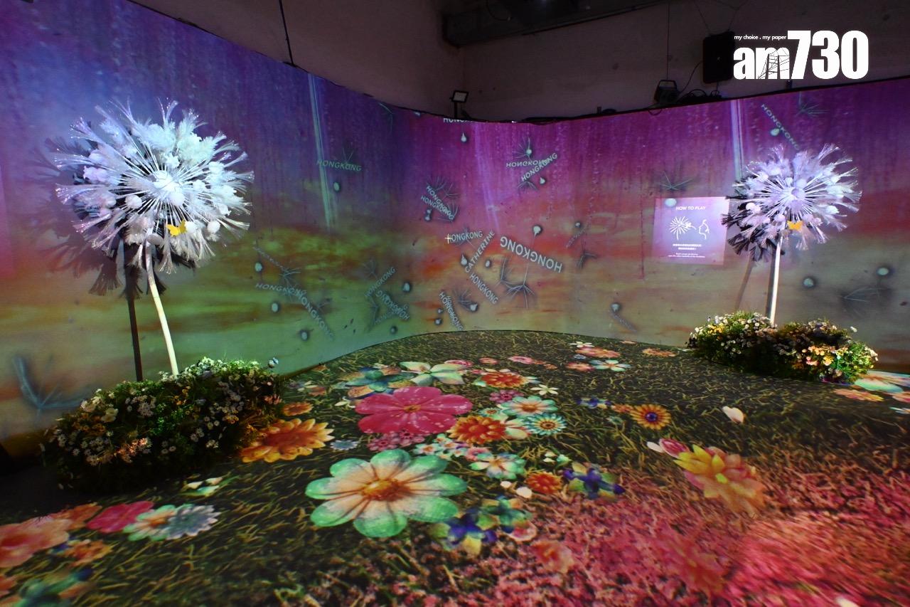 第八展區:與世界連接の蒲公英 DANDELION