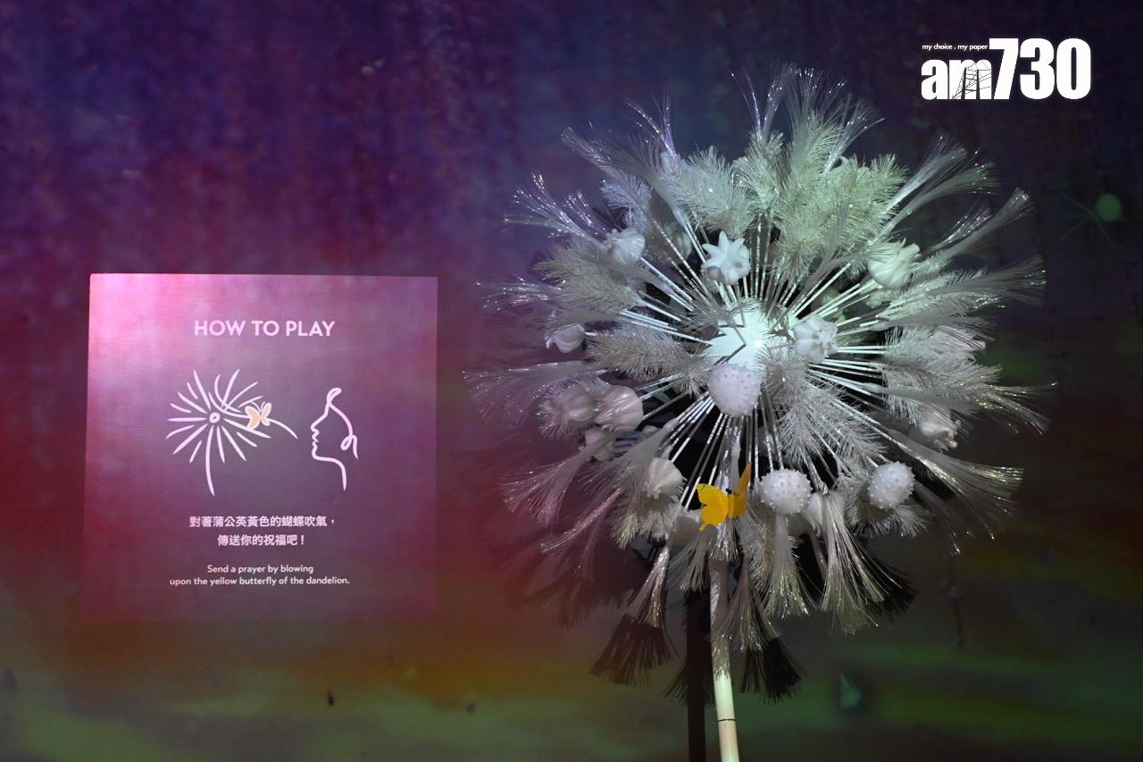 第八展區:與世界連接の蒲公英 DANDELION