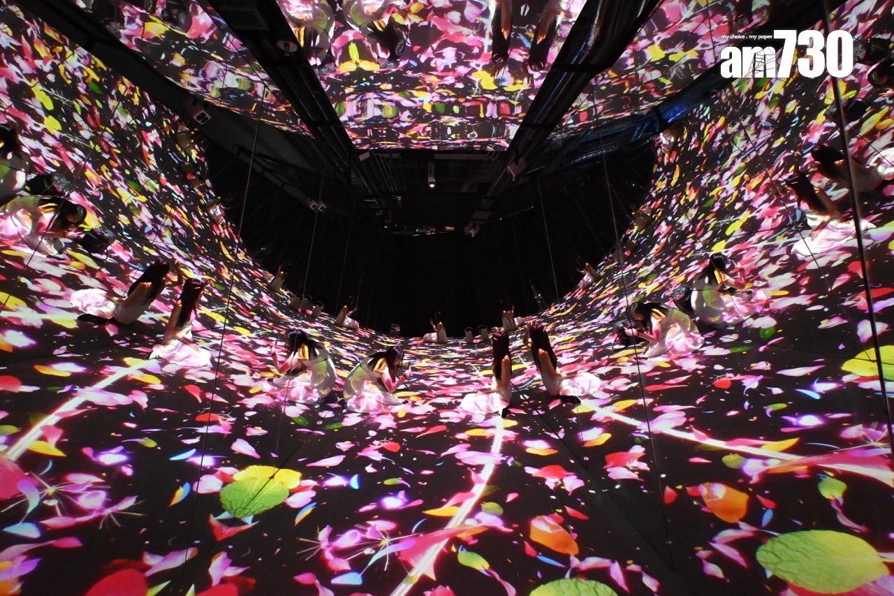 花朵小徑 FLOWER PATH