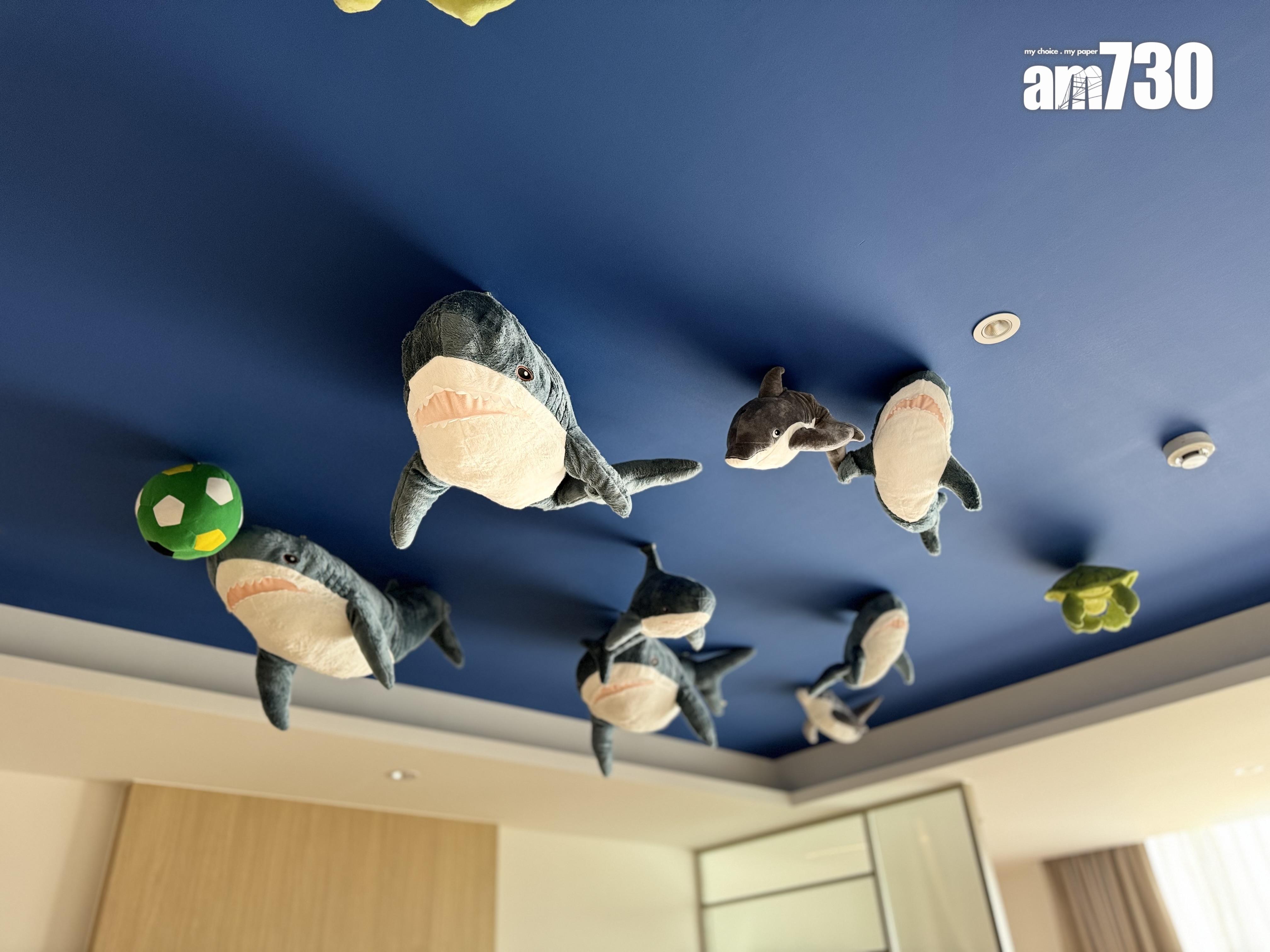 「BLÅHAJ (鯊鯊)」