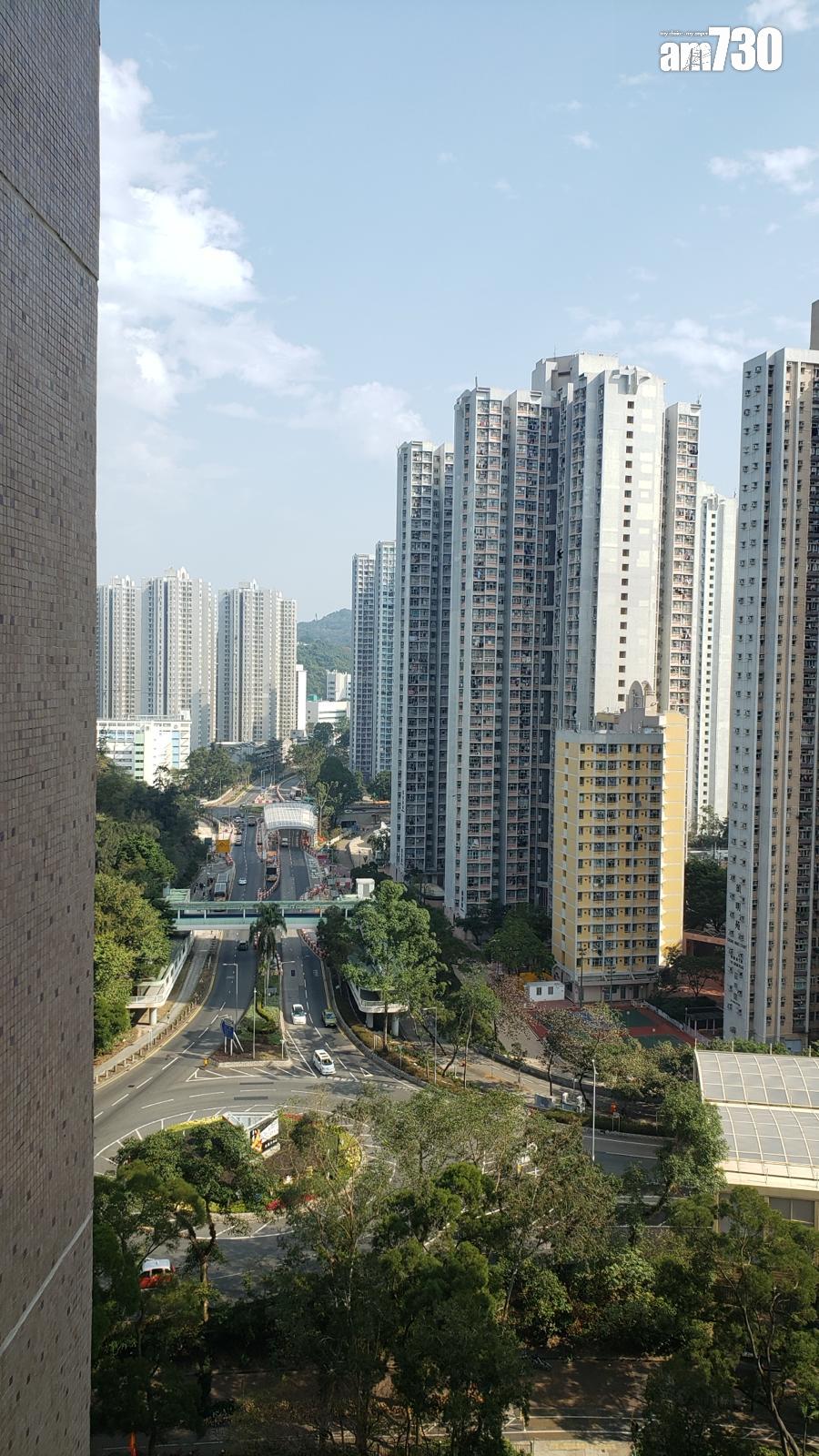 單位外望園景及遠樓景,景觀頗開揚。(代理提供)