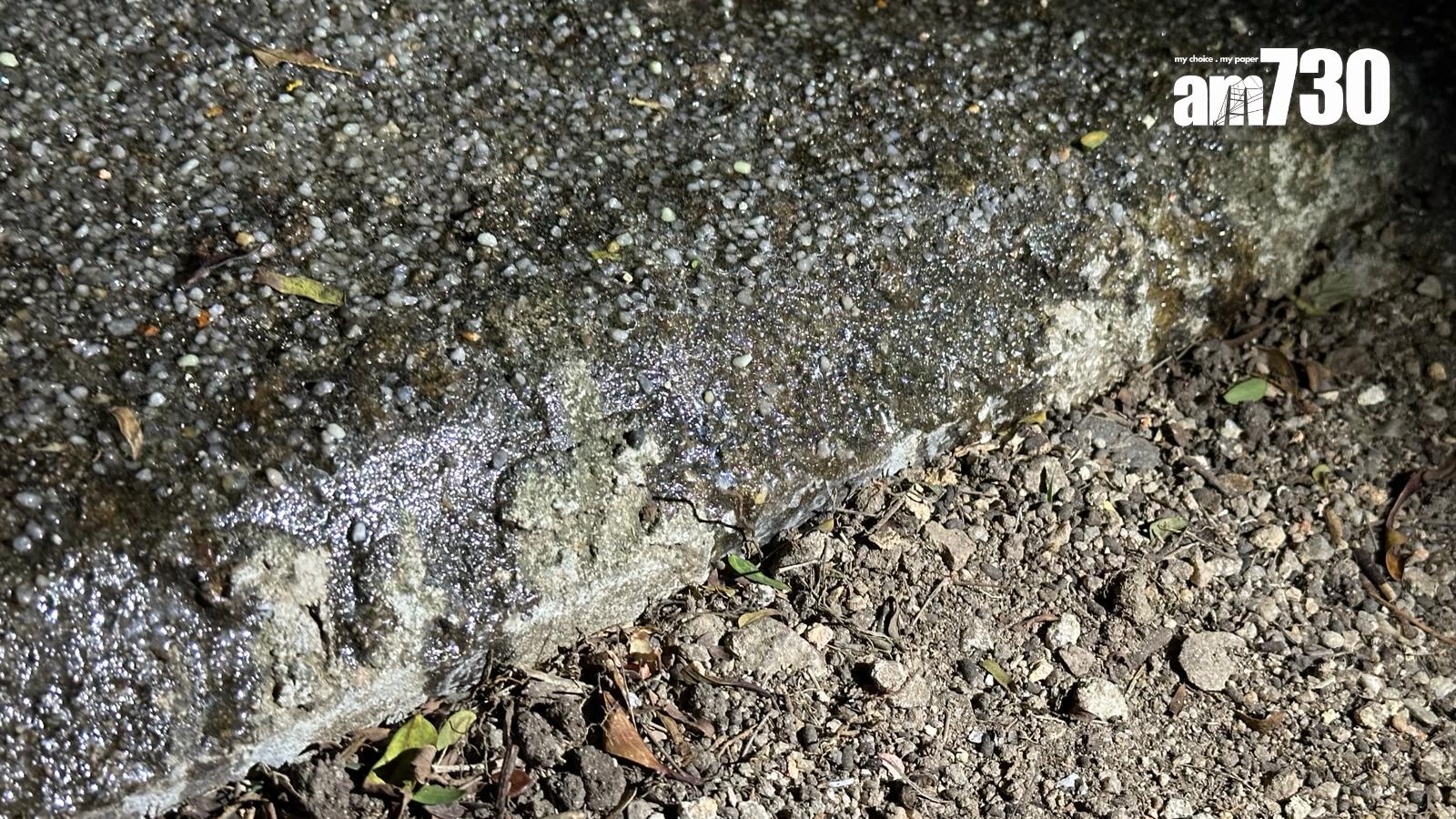 將軍澳夜光行人徑正進行測試,地面有些微水漬但不跣腳,圖為用電筒照亮後的光度。