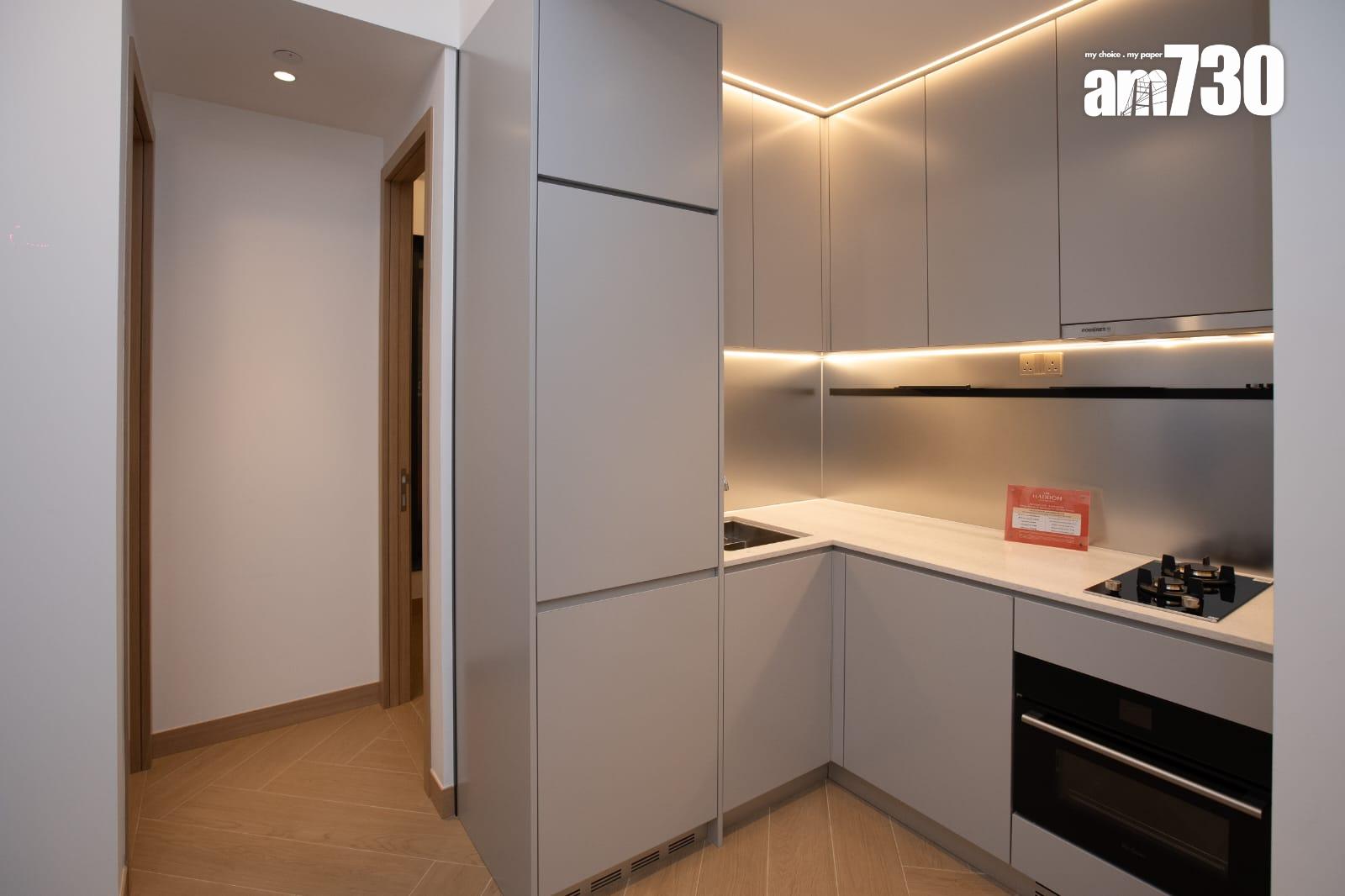 THE HADDON示範單位|262呎一房特高樓底設計 430呎三房儲物空間足|多圖有片