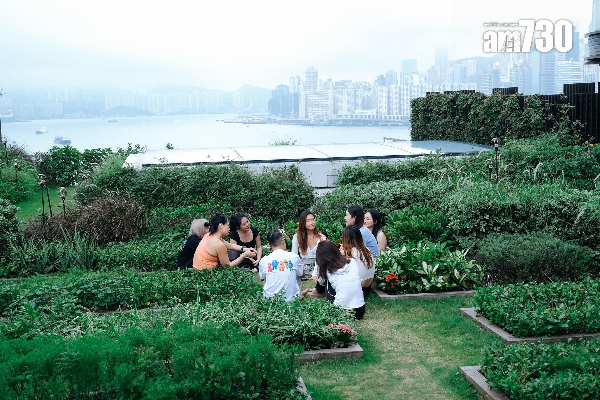柏蔚森I團隊打造國際人氣「森林浴」體驗活動|啟德新盤