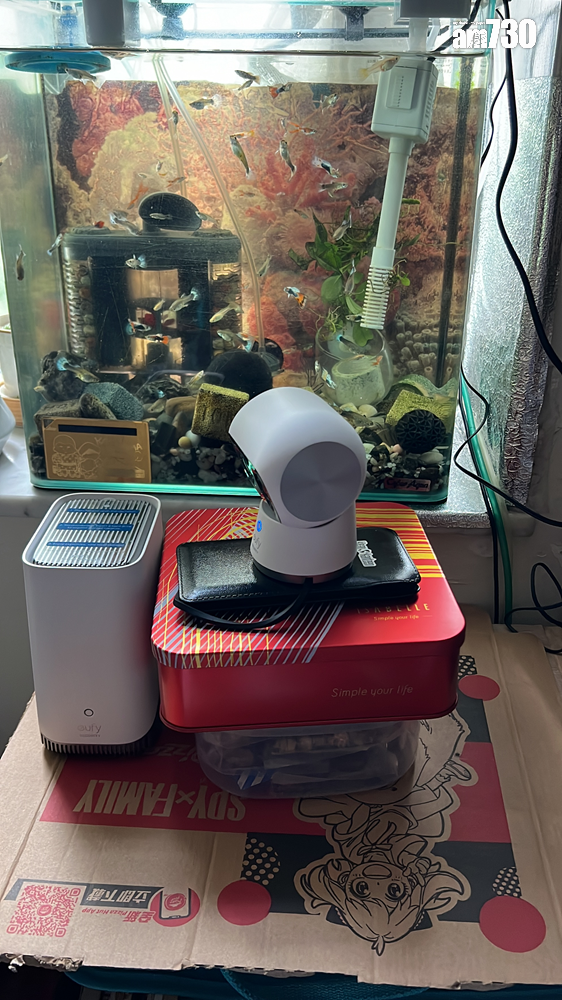 eufy安全應用程式可以保障家中的人和寵物的安全。