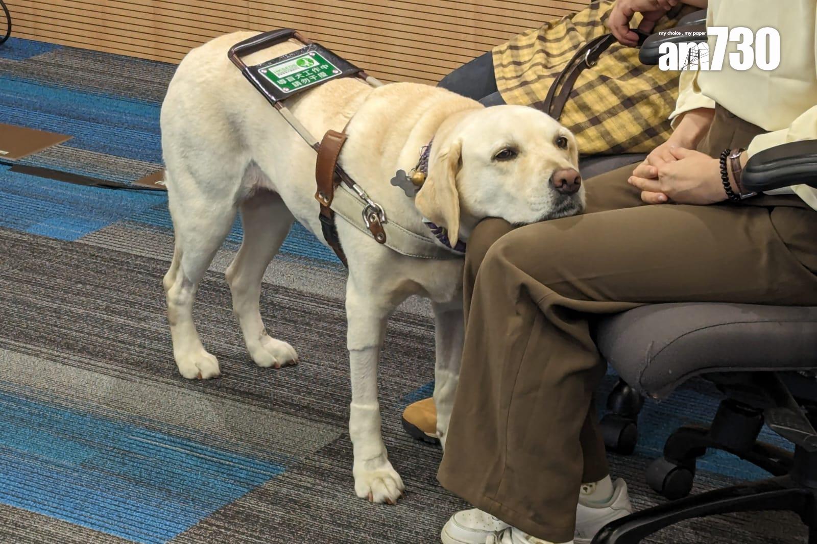平機會推出實用指南希望加強各界認識導盲犬,以及提高對使用者及導盲犬的接納程度。(羅庸軒攝)
