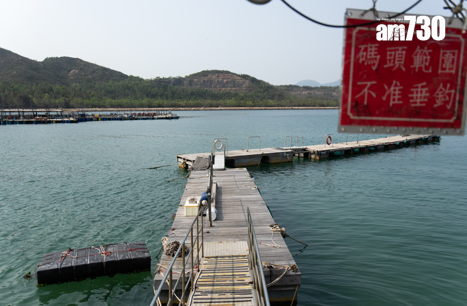 不少熟客都會駕船來漁村酒家,泊好後便上岸享受美食。攝:林靄怡