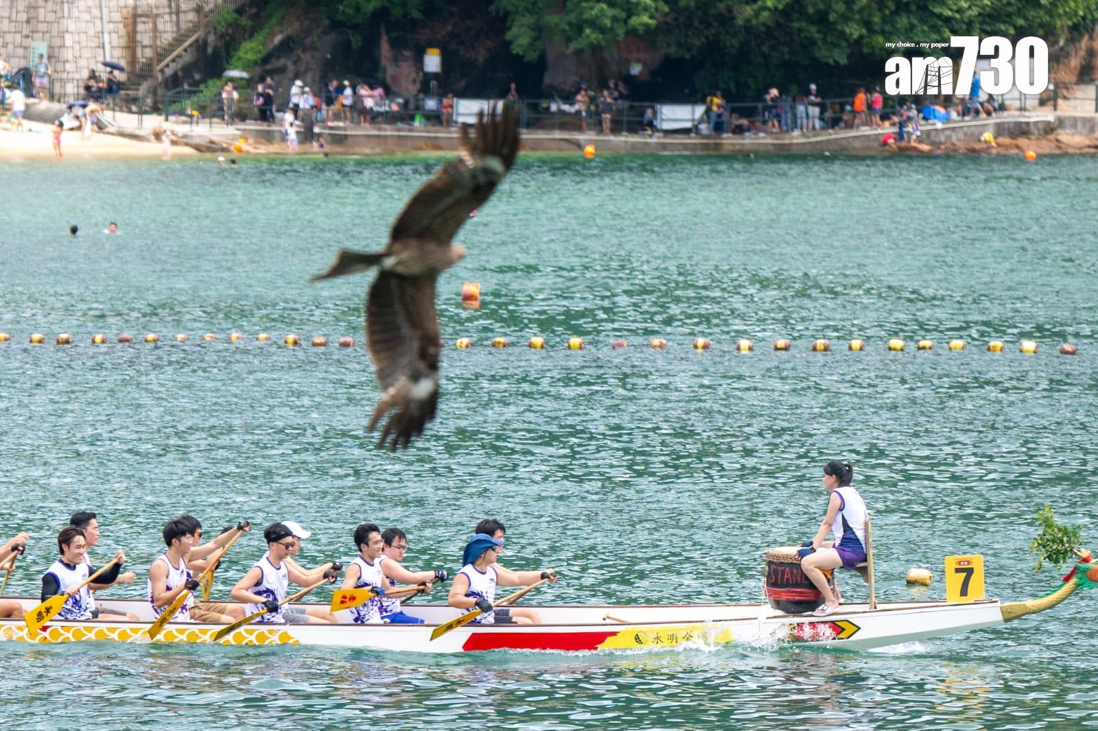 端午節2024|赤柱龍舟國際賽氣氛熱烈 打扮「Barbie芭比」龍舟隊吸引觀眾目光(林靄怡攝)