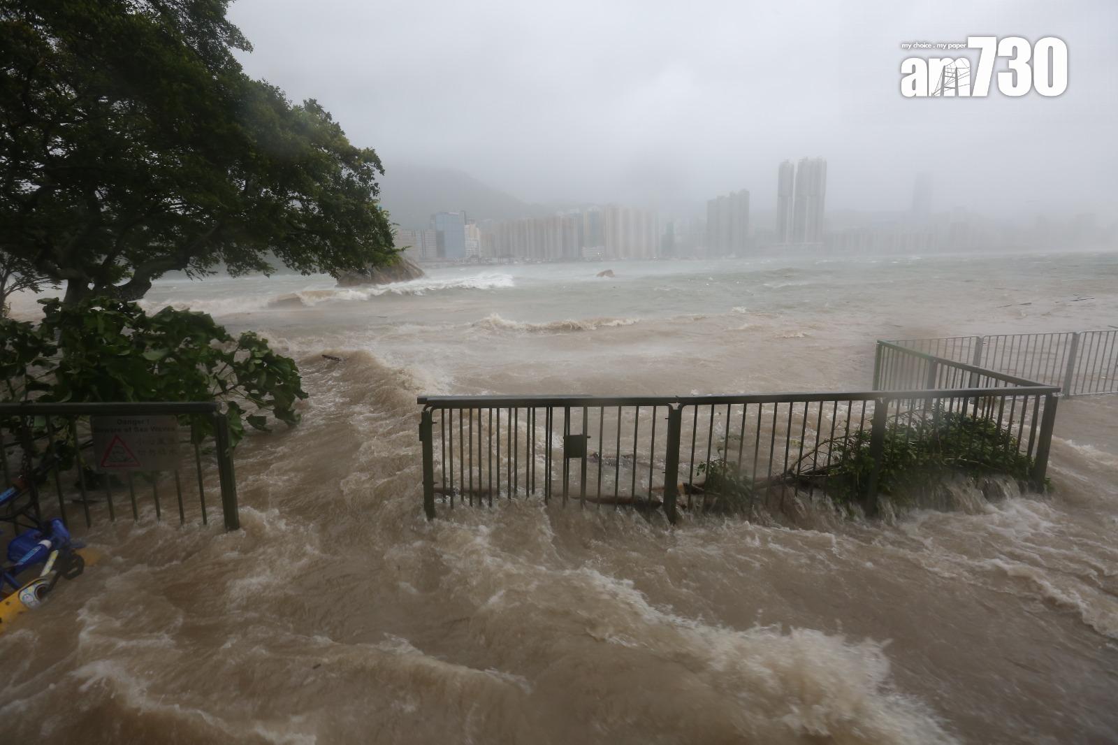 颱風天鴿回顧|鯉魚門三家村