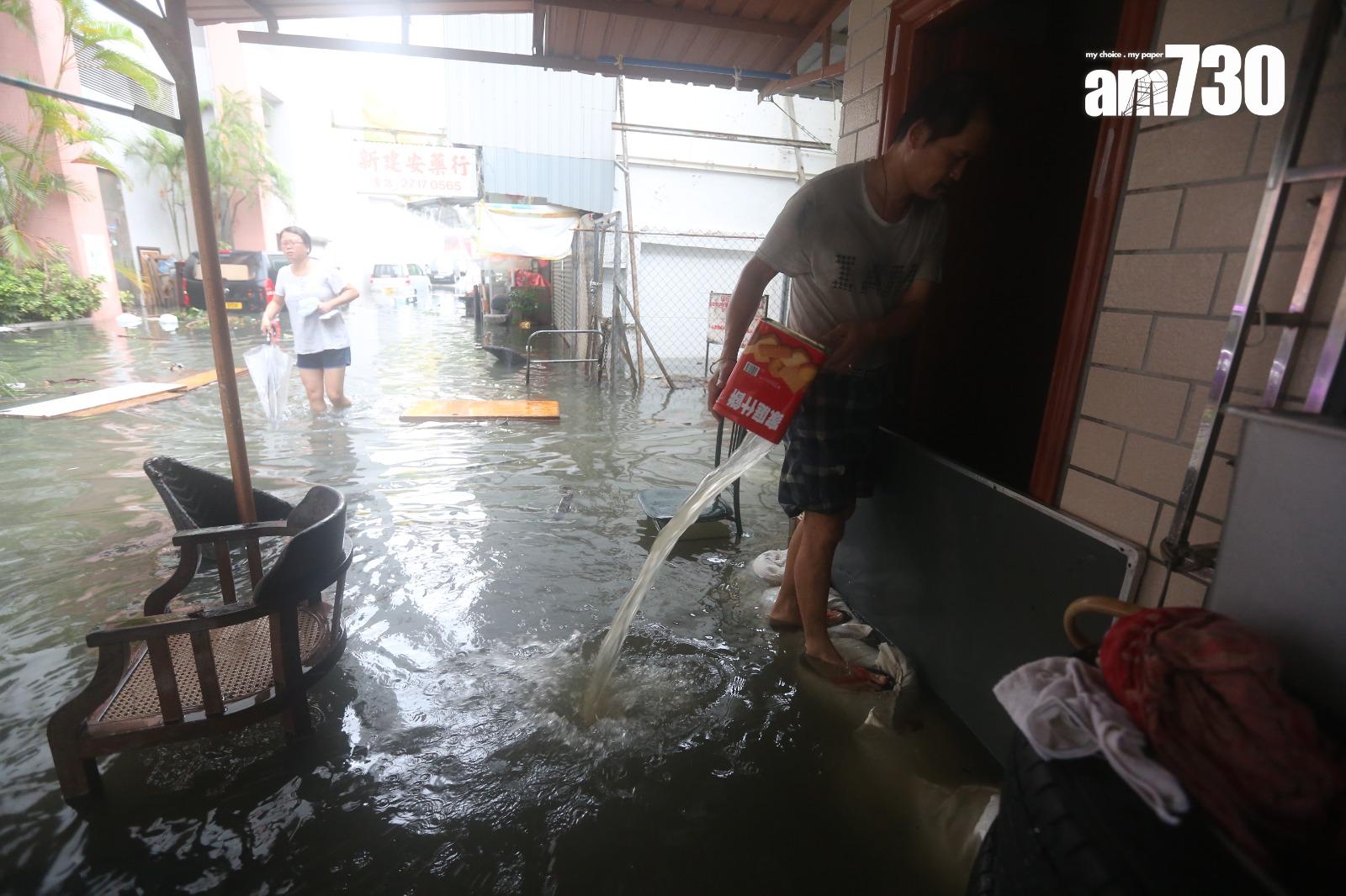 颱風天鴿回顧|鯉魚門三家村