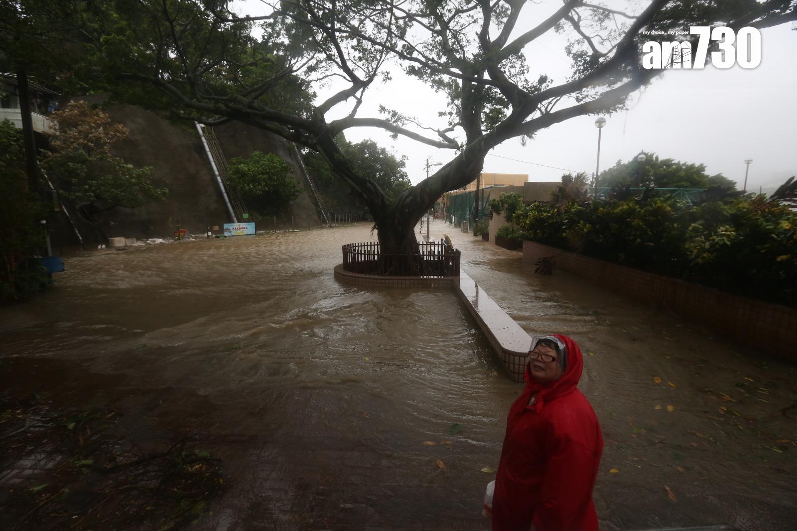 颱風天鴿回顧|鯉魚門三家村
