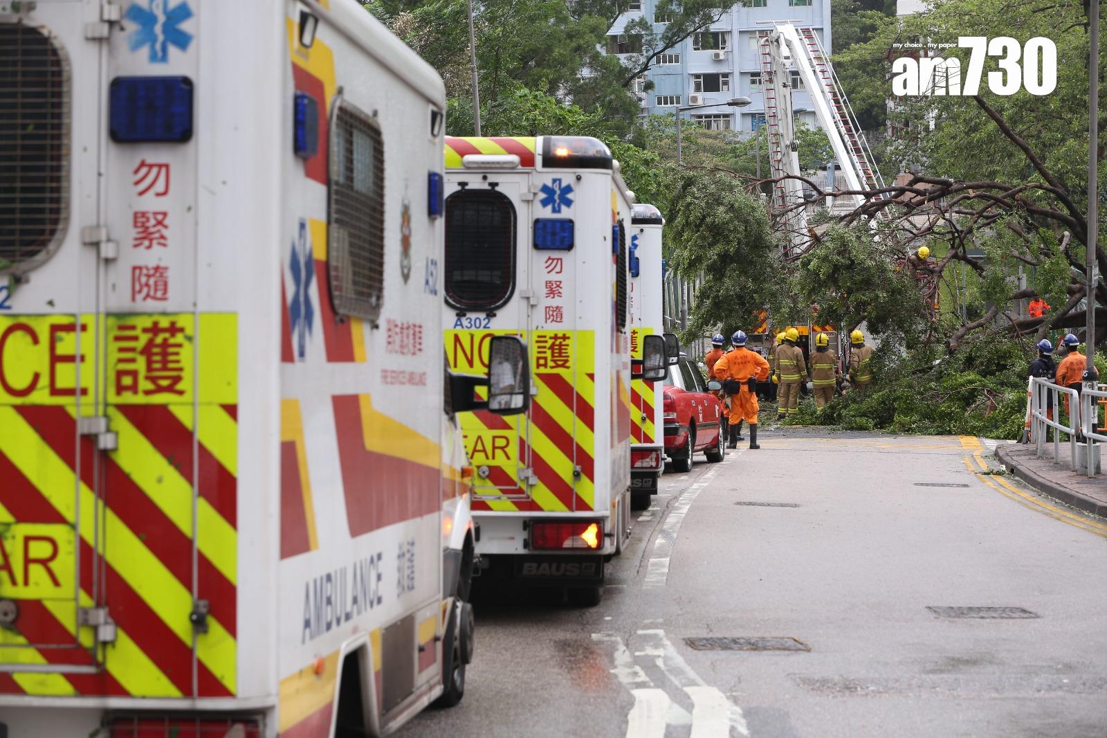 颱風天鴿回顧|聯合醫院外有大樹倒塌進出醫院車路全封