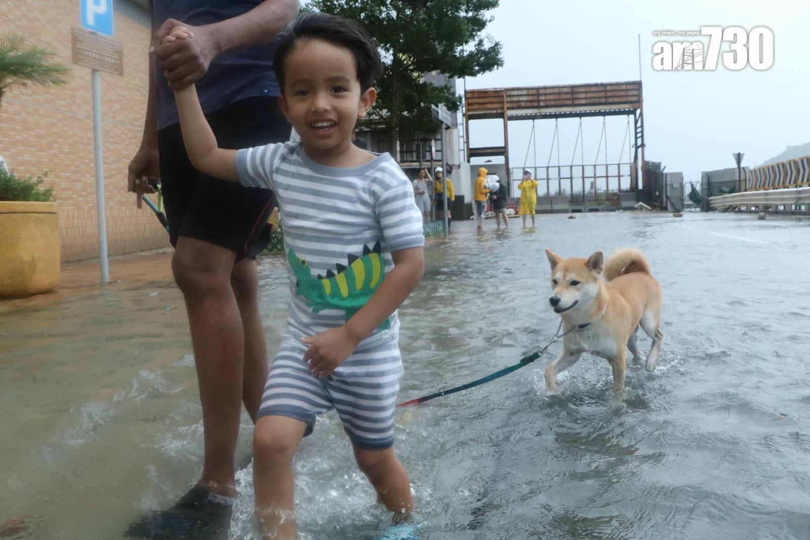 颱風天鴿回顧|十號風球西環海旁