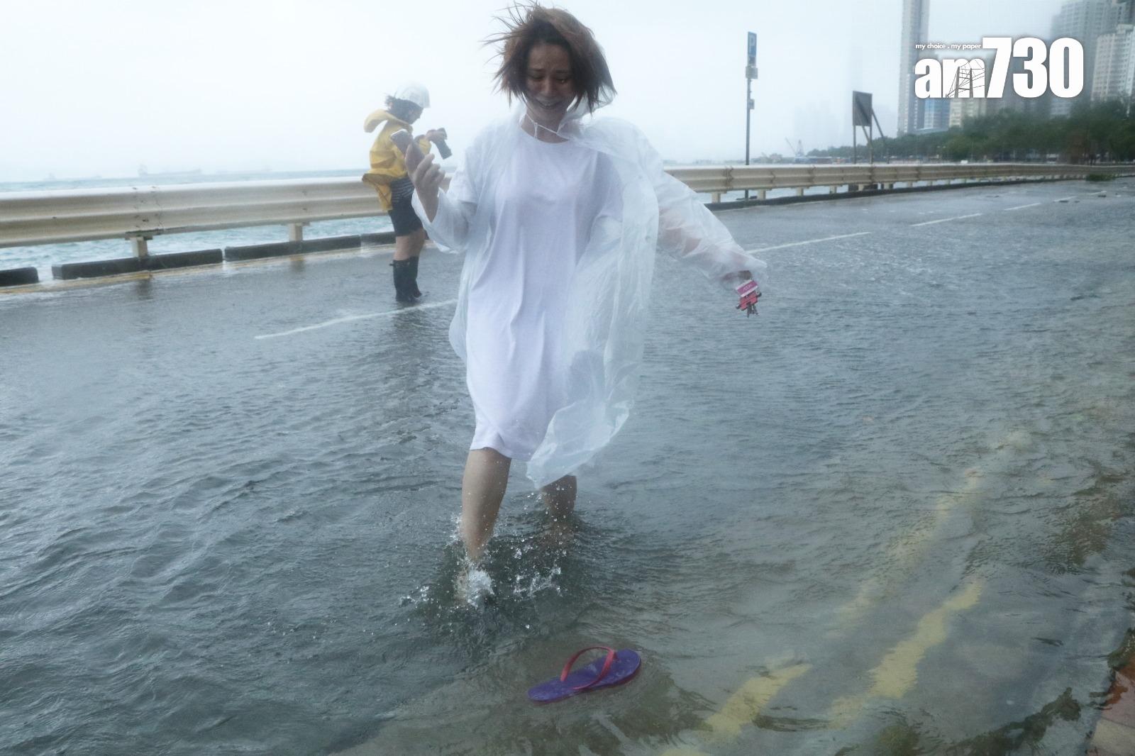 颱風天鴿回顧|十號風球西環海旁