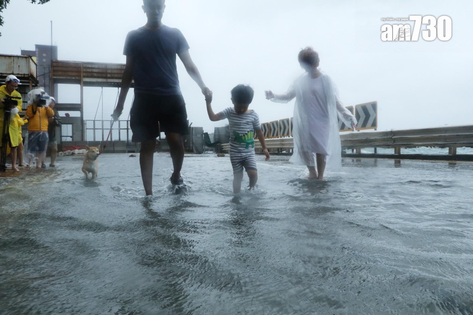颱風天鴿回顧|十號風球西環海旁