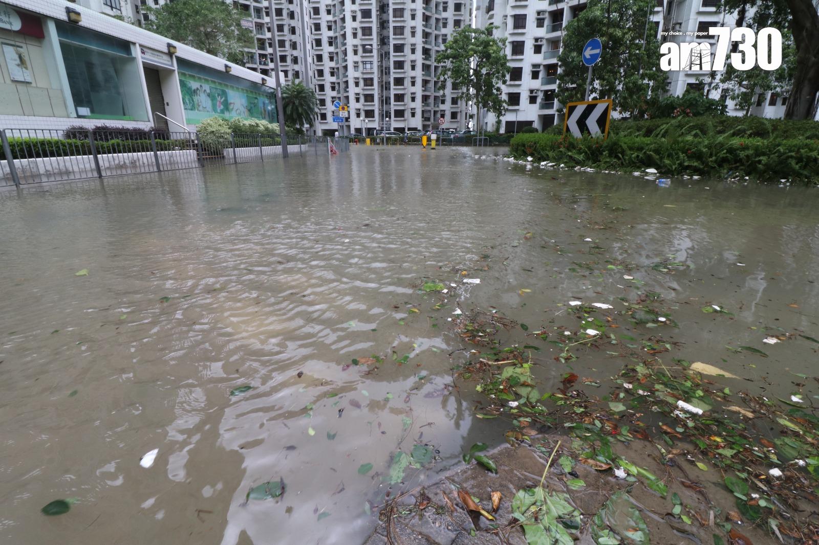 颱風天鴿回顧|十號風球杏花邨