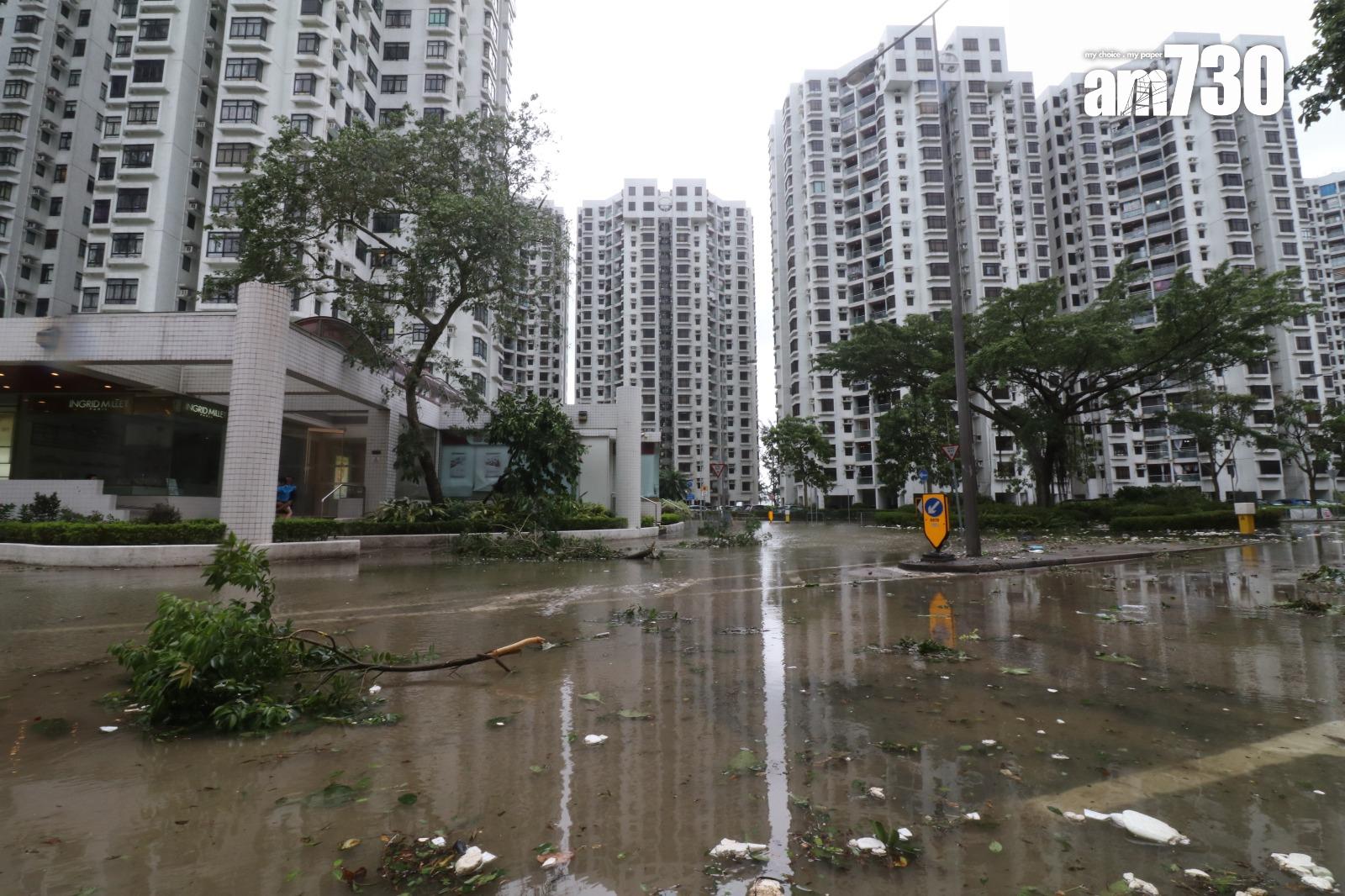 颱風天鴿回顧|十號風球杏花邨