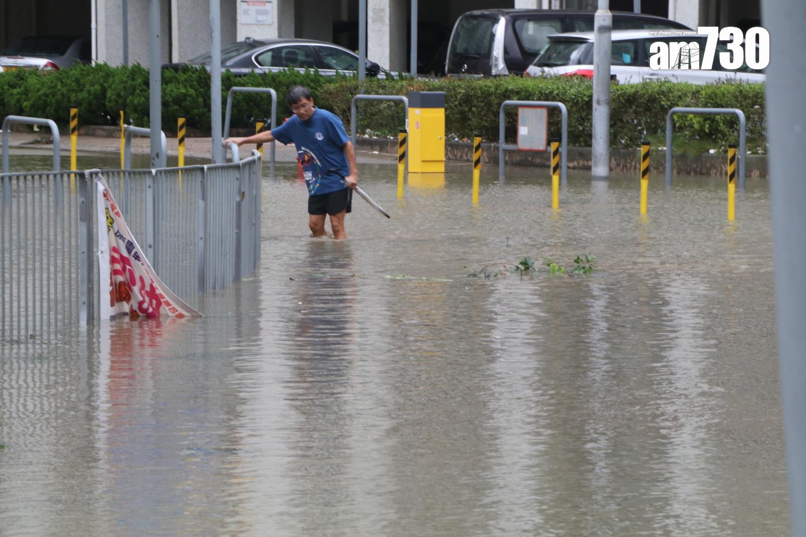 颱風天鴿回顧|十號風球杏花邨