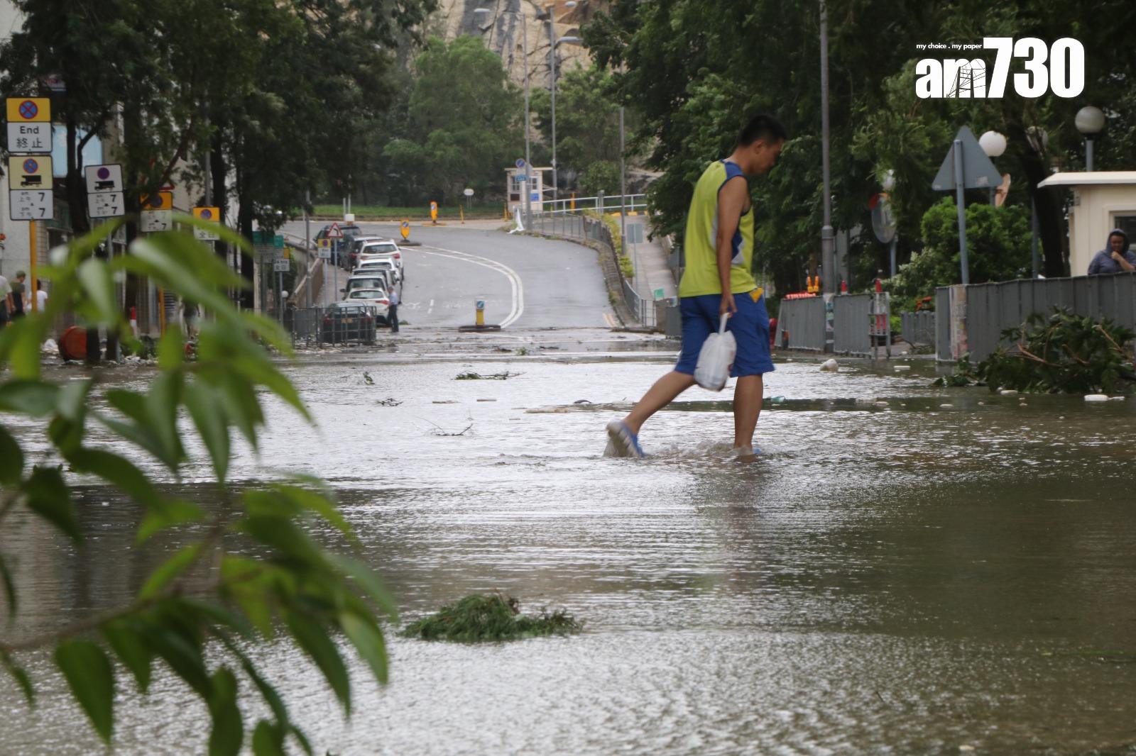 颱風天鴿回顧|十號風球杏花邨