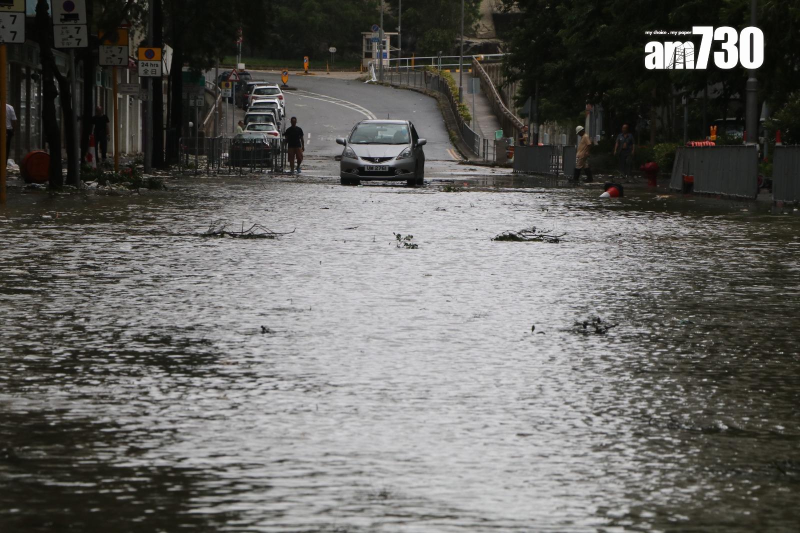 颱風天鴿回顧|十號風球杏花邨