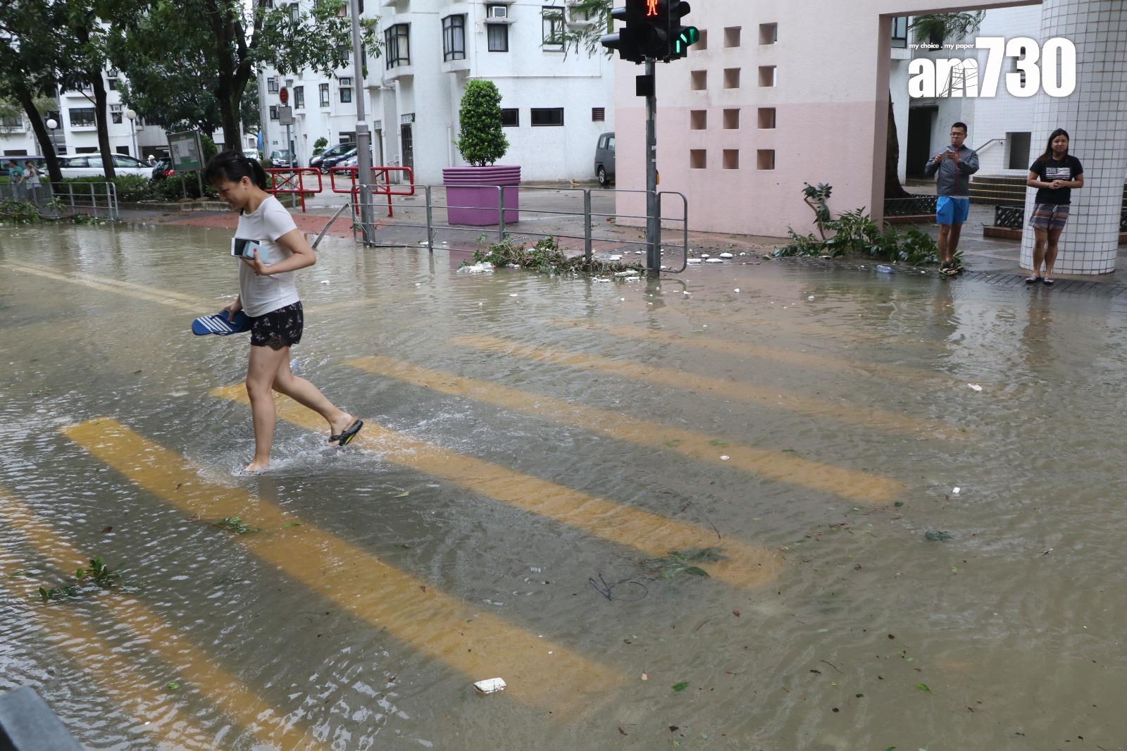 颱風天鴿回顧|十號風球杏花邨