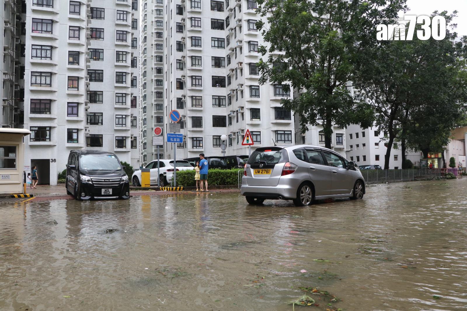 颱風天鴿回顧|十號風球杏花邨