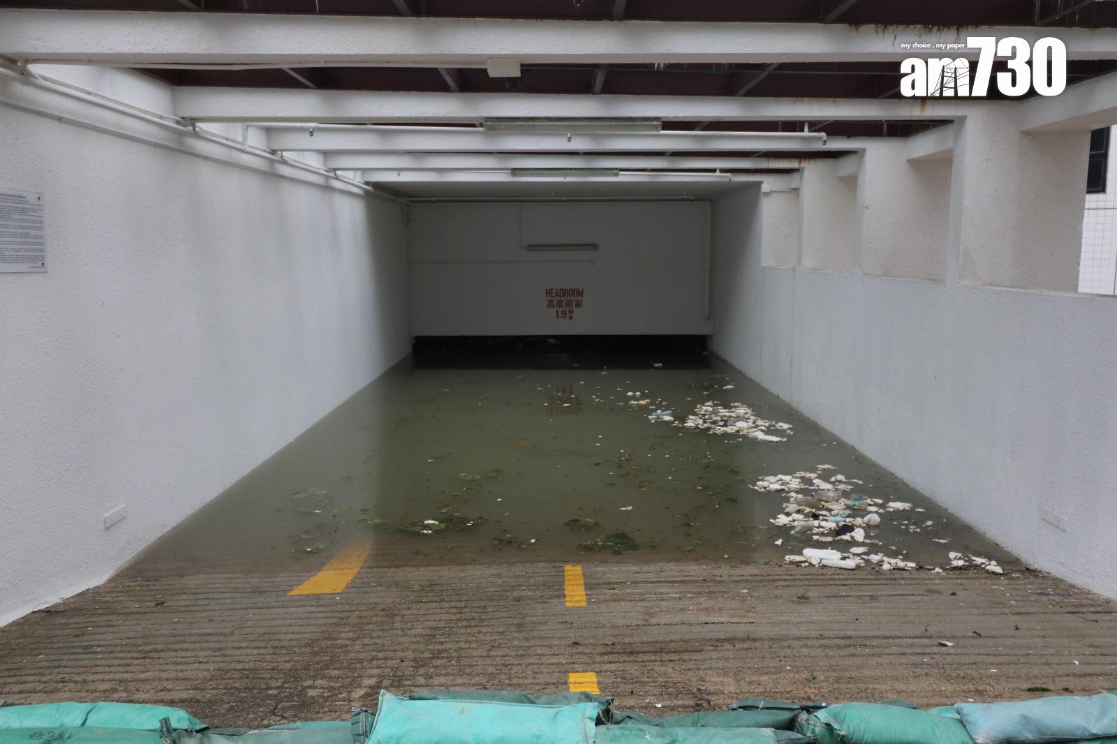 颱風天鴿回顧|十號風球杏花邨