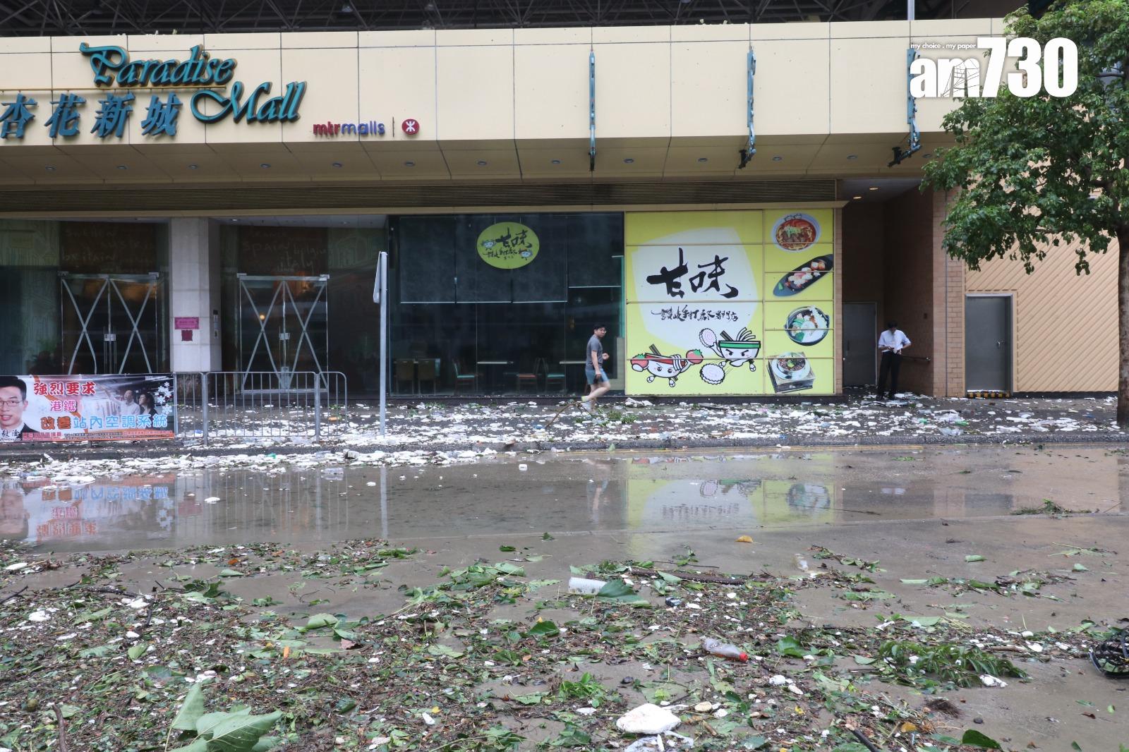 颱風天鴿回顧|十號風球杏花邨