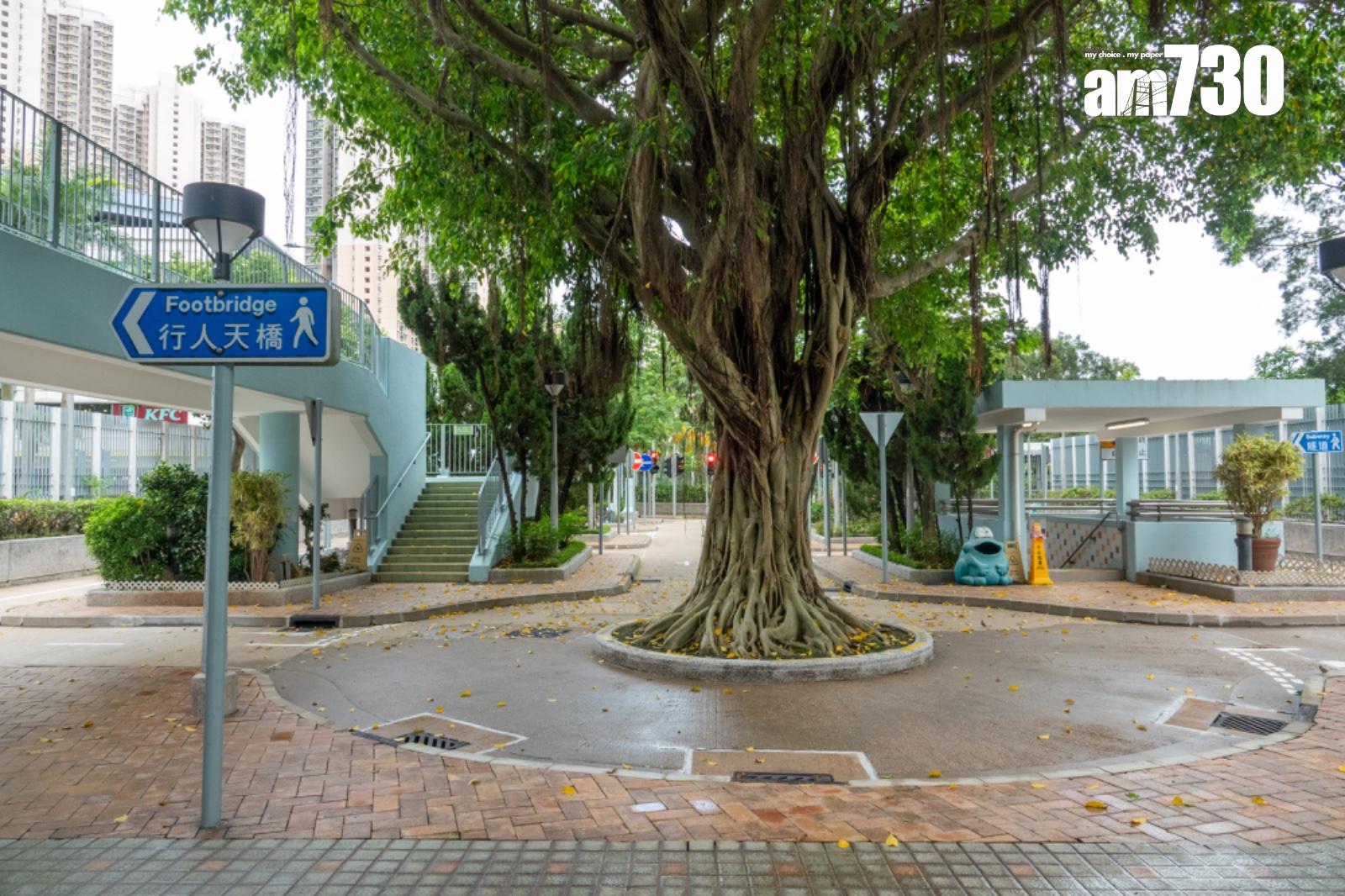 議員促翻新交通安全城。(陳奕釗攝)