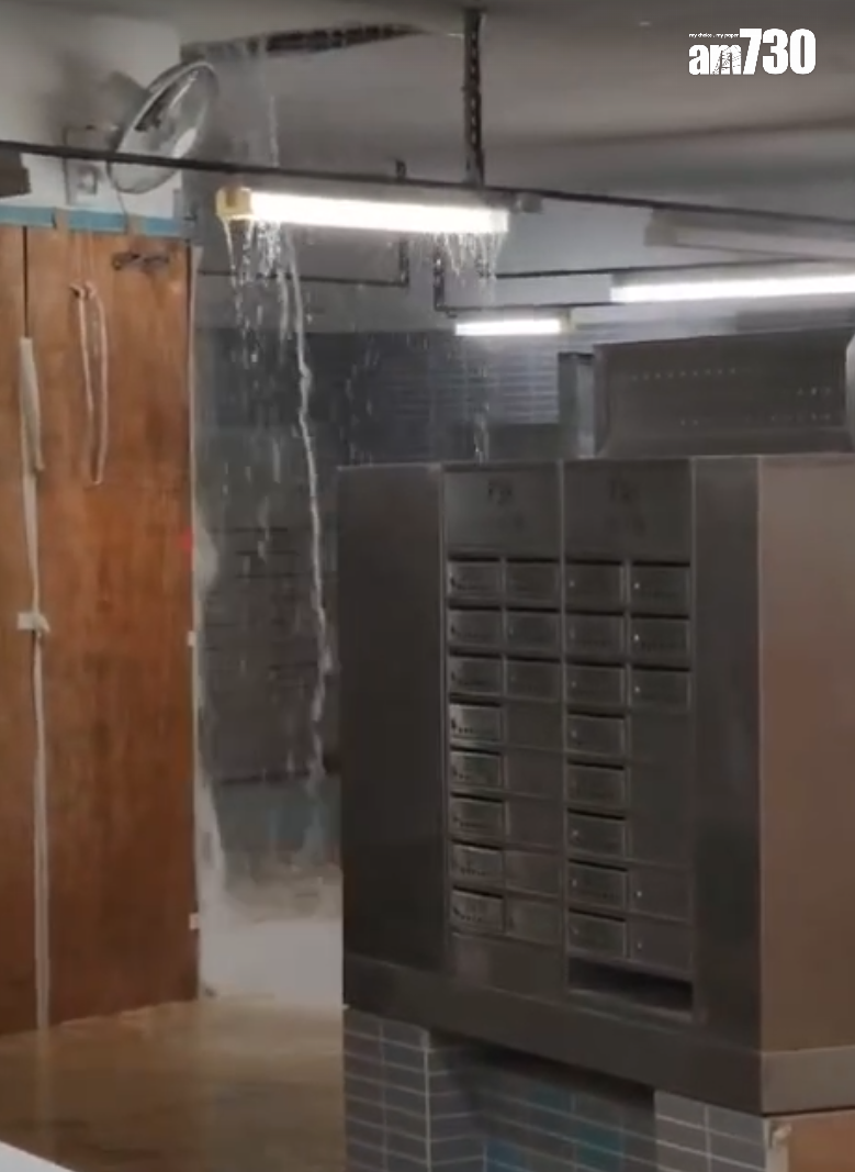 啟鑽苑5座啟湖閣上演「水舞間」(讀者提供)