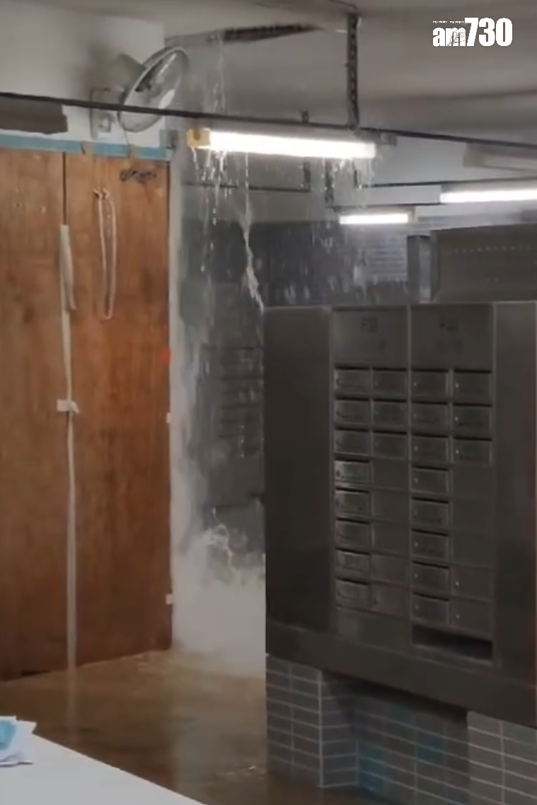 啟鑽苑5座啟湖閣上演「水舞間」(讀者提供)