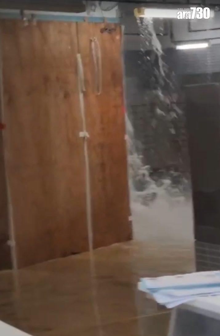 啟鑽苑5座啟湖閣上演「水舞間」(讀者提供)