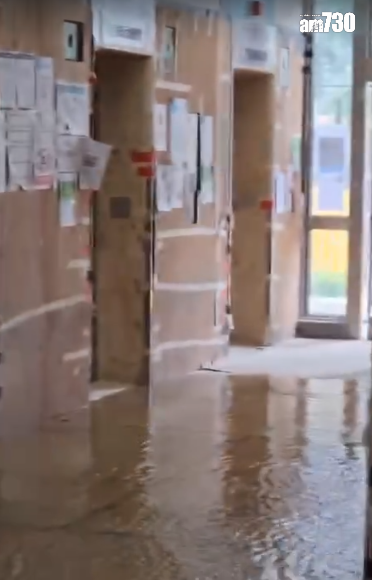 啟鑽苑5座啟湖閣上演「水舞間」(讀者提供)