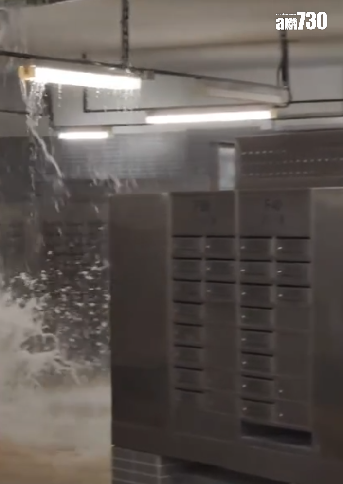 啟鑽苑5座啟湖閣上演「水舞間」(讀者提供)