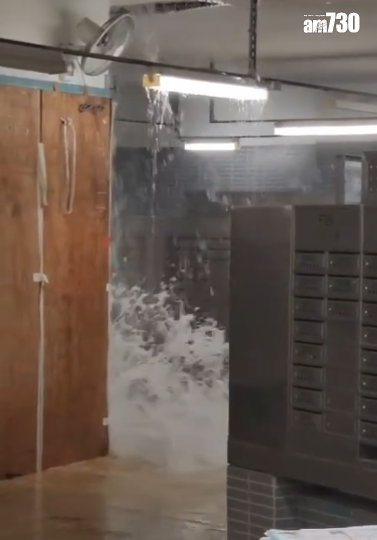 啟鑽苑5座啟湖閣上演「水舞間」(讀者提供)