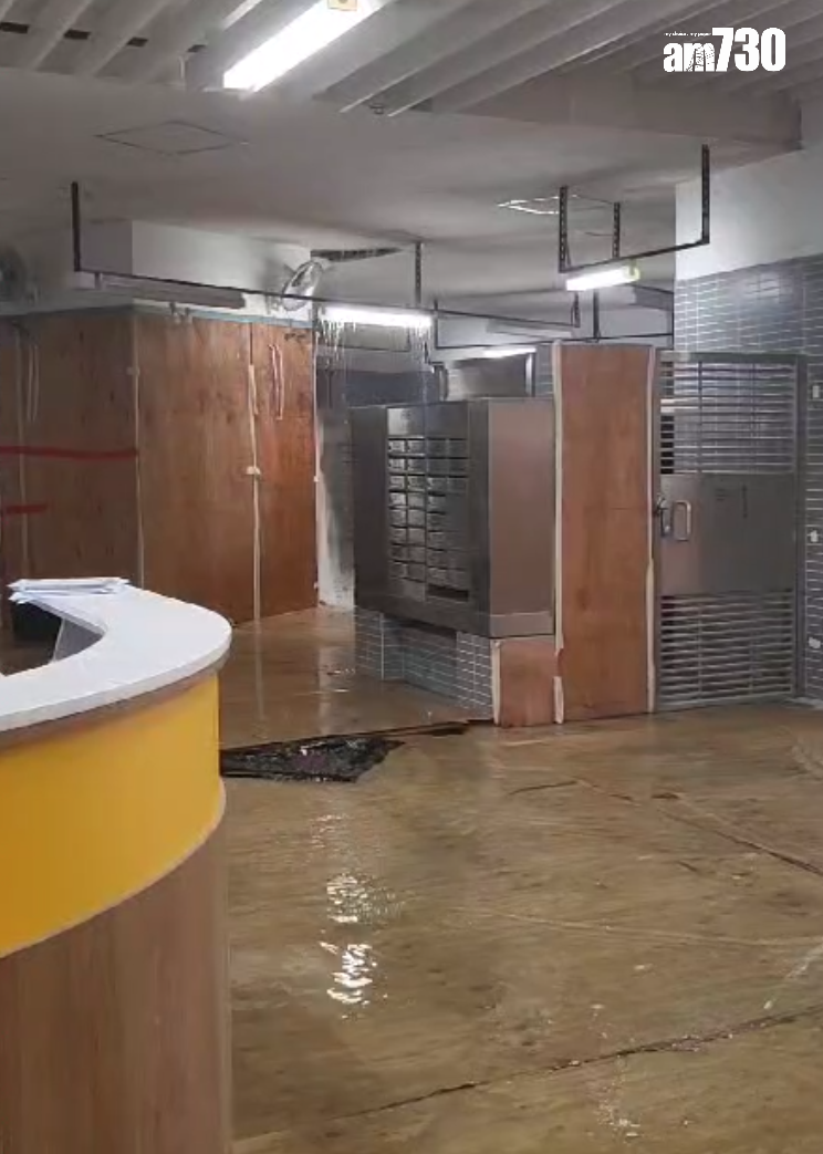 啟鑽苑5座啟湖閣上演「水舞間」(讀者提供)