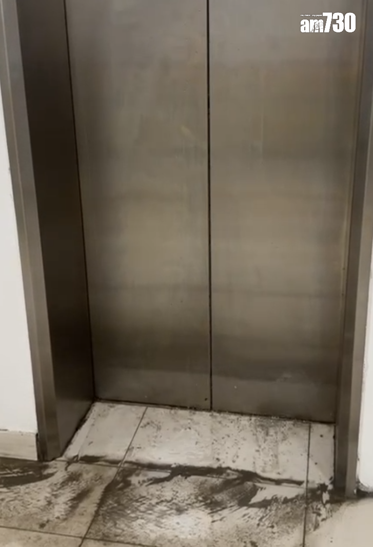 啟鑽苑5座啟湖閣上演「水舞間」(讀者提供)