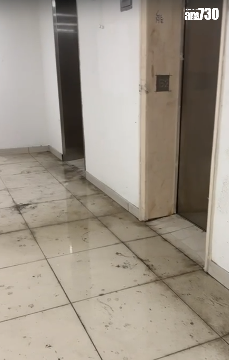 啟鑽苑5座啟湖閣上演「水舞間」(讀者提供)