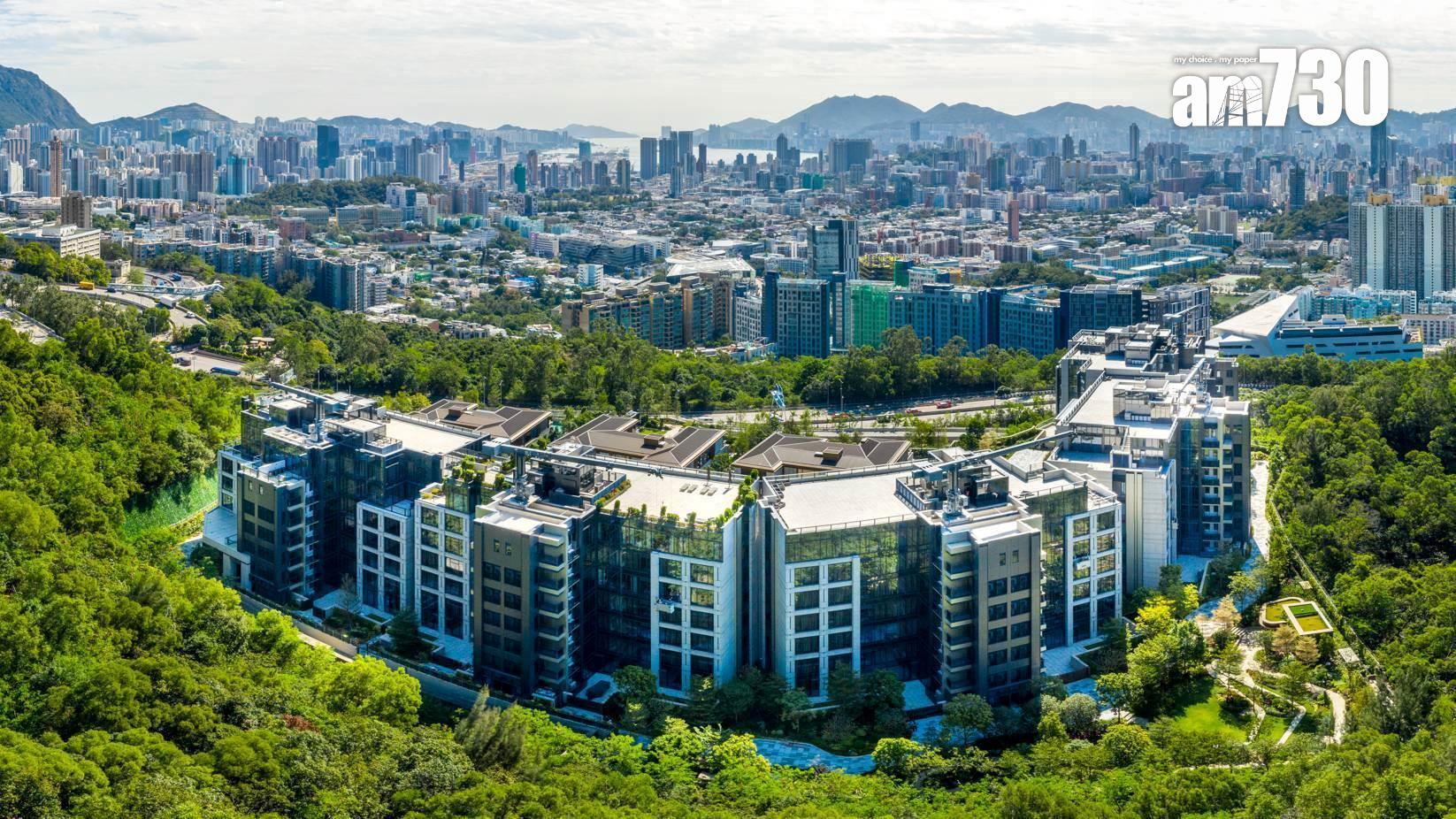 豪宅市場表現標青!上半年大碼成交飆兩倍 中原料全年宗數挑戰新高